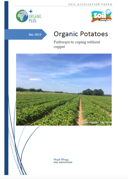 SA paper on potatoes